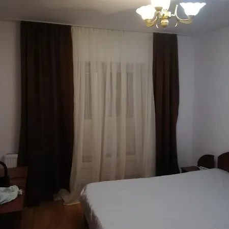 Apartament Central *