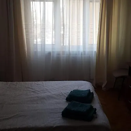 Apartment Apartament Central Vatra Dornei